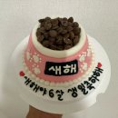 펫브로(Pet Bro) | 강아지 생일케이크 부평애견수제간식 펫브로(Pet Bro)