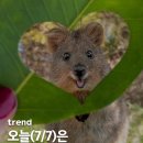 클래식오븐