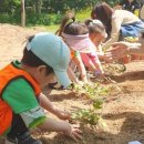 행복한 정원 이미지