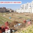 차상로-2 이미지