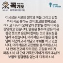 콩깍지 이미지
