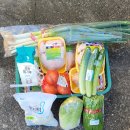 용계1리 이미지