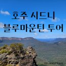 현정투어 | 시드니 근교 필수 코스! 마이리얼트립 블루마운틴 데이투어 완벽 후기!