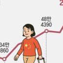 와이지바이오코리아 이미지