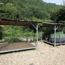 고향펜션캠핑 이미지