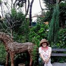 은행나무공인중개사사무소 이미지