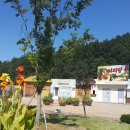 목화다방 이미지