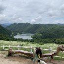 춘천목장 이미지