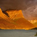 원룸텔공인중개사사무소 이미지