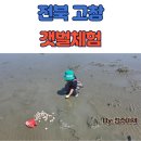 씨유 고창만돌점 | [명소탐방] 고창 만돌갯벌체험학습장 방문기 (Feat. 조개 캐기 꿀팁 대방출)