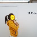 강남켄넬 이미지