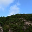 거창 항노화 힐링랜드 이미지