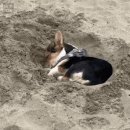 개편한 세상 이미지