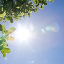 우리건강랜드 이미지