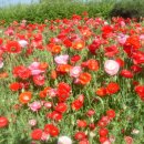 바다랑펜션 이미지