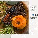 해피오일