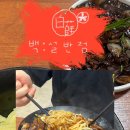 백설반점 이미지