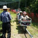 보라농장 이미지