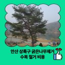상록수관광주 | 안산 상록구 굵은나무제거 수목 철거 비용