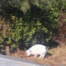 시온산장 이미지