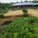 포도호텔 이미지