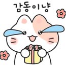 더203에스티(THE203st) 이미지