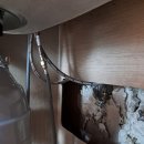 동산제일2 이미지