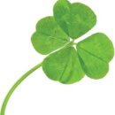 네잎클로버 이미지