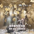 2835 | 제주 시내 실내 가볼만한곳 제주홀릭뮤지엄 겨울 우정 여행 후기