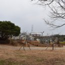 상무시민공원 이미지