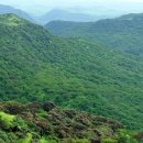 염소왕국 이미지