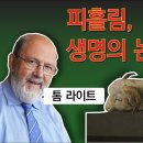 성경에서 이미지 찾기 05. 피흘림, 생명의 논리(요약) 이미지