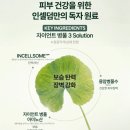 더블인셀덤