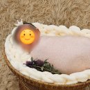 영등포 문래 라솜조리원 후기