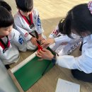 수원시 팔달구 화양로68번길 | [수원 화서동 용인대 청룡 태권도] 우리 아이 성장 기록! 태권도장에서의 체력 측정