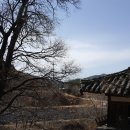 함월당 Daum카페