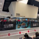 땀 | 서면역 근처맛집 베트남 현지 감성 제대로 느낀 땀땀 후기