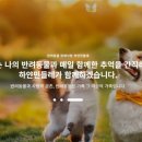 리틀포즈 반려동물 장례식장 이미지