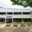 울미연꽃마을 이미지