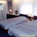 카멜리아 이미지