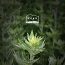 한사자농장 이미지