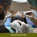 서아송피부과의원 네이버블로그