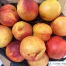 척강한의원 이미지