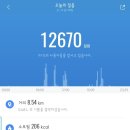 저녁)다이어트요가 네이버블로그