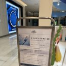 라메르뷰티 | [트렌드 LAB] 에르메스 뷰티 '운 자르뎅 수 라 메르' 팝업 방문 후기