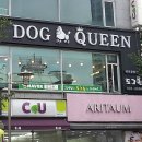 도그퀸 이미지