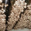 운주농장 이미지