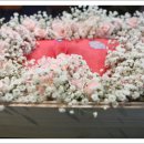 이쁜이PC 이미지