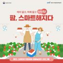 팜스마트 티스토리