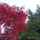 화랑유원지 이미지